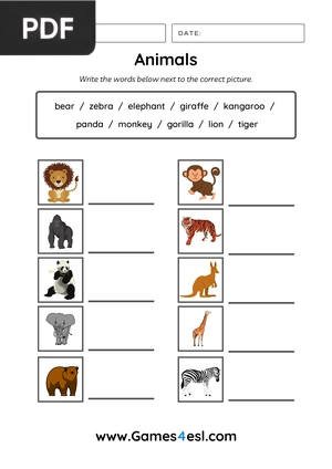 Animals