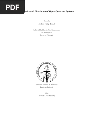 Dynamics and Simulation of Open Quantum Systems