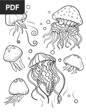 Jellyfish coloring page