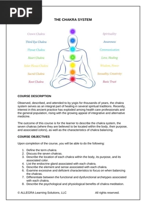 The chakra system