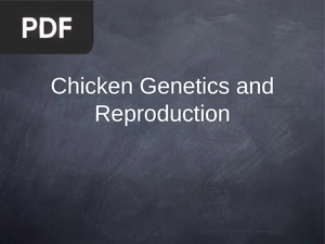 Chicken Genetics and Reproduction (Presentation)