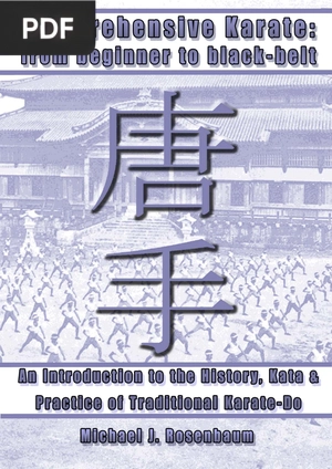 Comprehensive Karate: From Beginner to Black Belt