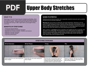 Upper Body Stretches (Article)