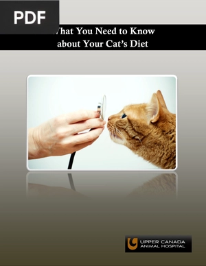 What You Need to Know about Your Cat’s Diet About Upper Canada Animal Hospital (Article)