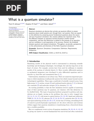 What is a quantum simulator?