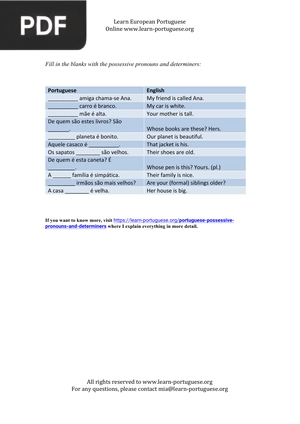 Possessive Pronouns and Determiners – exercises