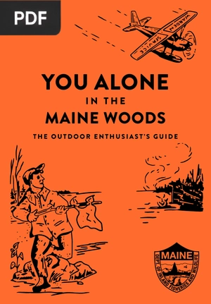 You Alone in the Maine Woods