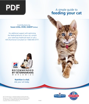 A simple guide to feeding your cat (Article)