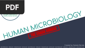 Human Microbiology (Presentation)