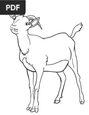 Goat
