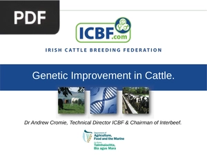 Genetic Improvement in Cattle