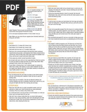Cat Care (Article)