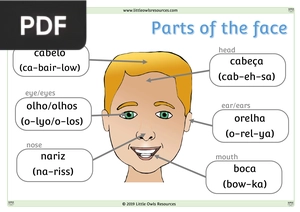 Face & Body Parts Portuguese / English
