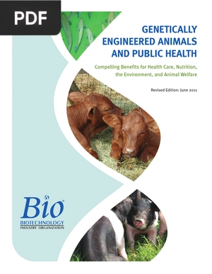 Genetically engineered animals and public health