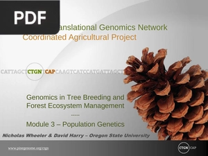 Module 3, Population Genetics