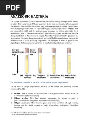 Anaerobic Bacteria