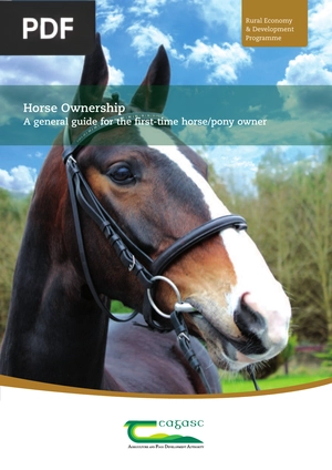 Horse Ownership