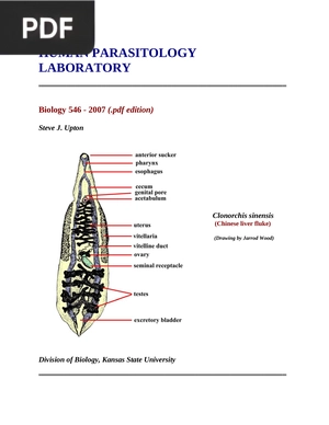 Human Parasitology Laboratory