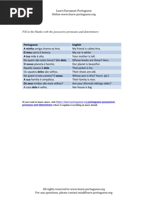 Possessive Pronouns and Determiners – solutions