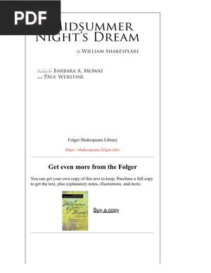 Summer night Dream