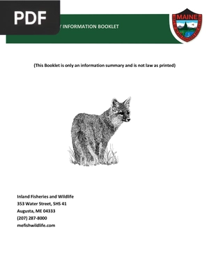 Maine Taxidermy Information Booklet