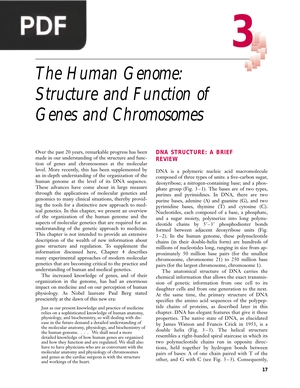 The Human Genome: Structure and Function of Genes and Chromosomes
