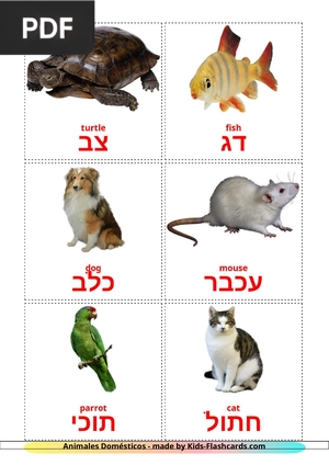 Domestic animals