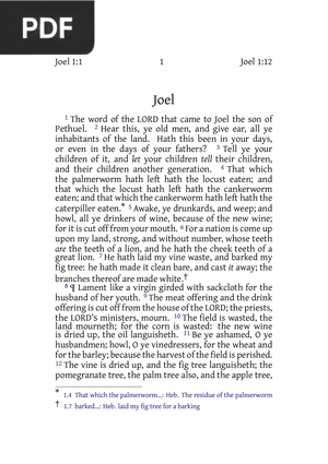 Joel