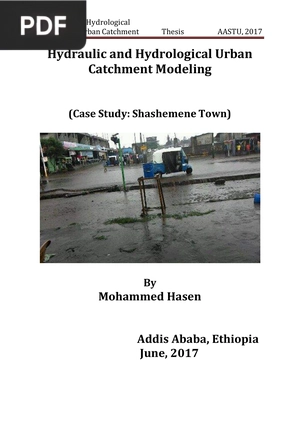 Hydraulic and Hydrological Urban Catchment Modeling