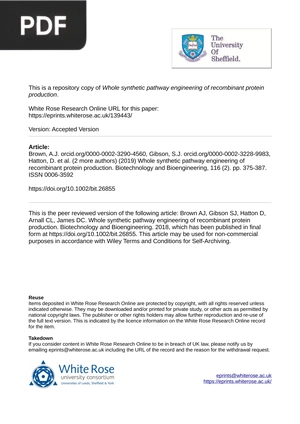 Whole synthetic pathway engineering of recombinant protein production