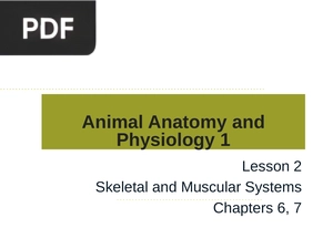Animal Anatomy and Physiology 1 (Presentation)