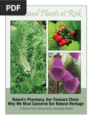 Medicinal Plants at Risk