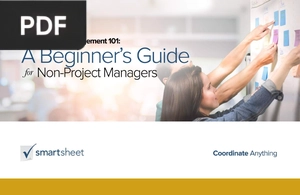 A beginner´s Guide for Non-Project Managers (Presentation)