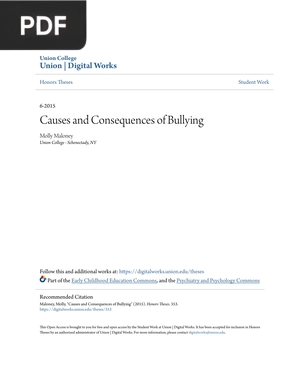 Causes and Consequences of Bullying