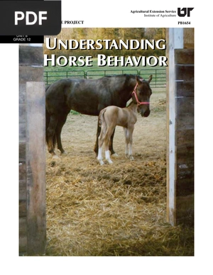 Understanding Horse Behavior