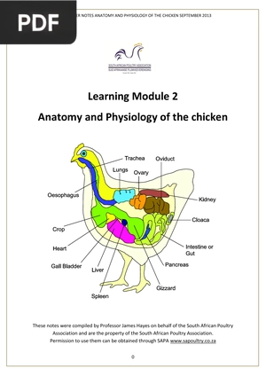 Anatomy and Physiology of the chicken