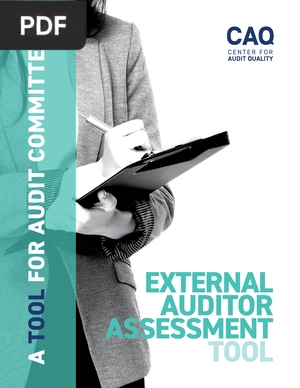 External auditor assessment tool