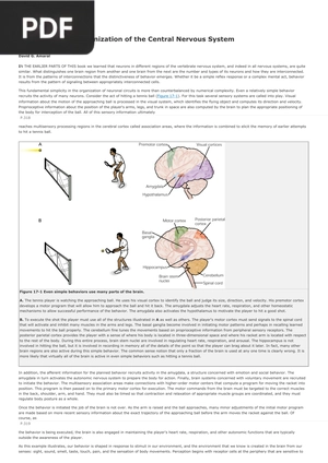 The Anatomical Organization of the Central Nervous System