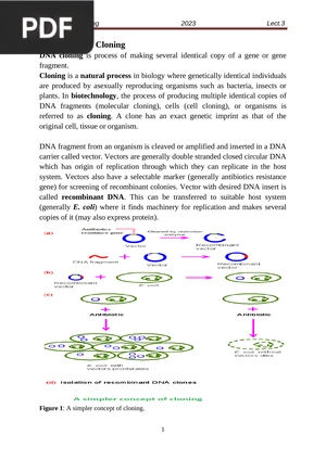 Basics of DNA Cloning  (Article)