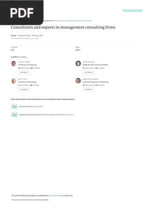 Consultants and experts in management consulting firms