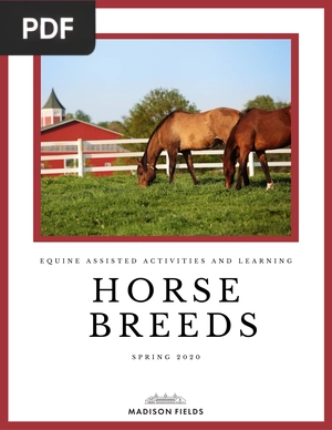 Horse Breeds