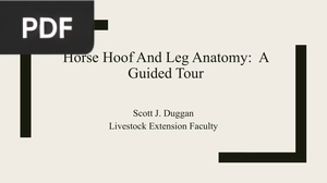 Horse Hoof And Leg Anatomy A Guided Tour (Presentation)