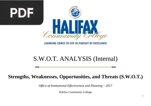 S.W.O.T. Analysis (Internal) (Presentation)