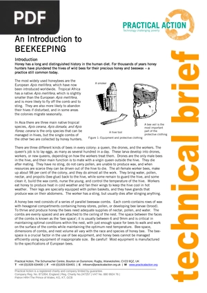 An Introduction to beekeeping