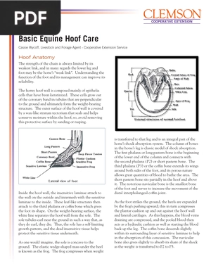 Basic Equine Hoof Care (Article)