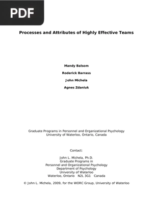 Processes and Attributes of Highly Effective Teams