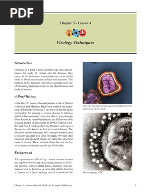 Virology Techniques (Article)
