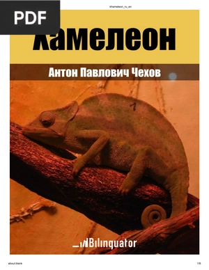 A Chameleon