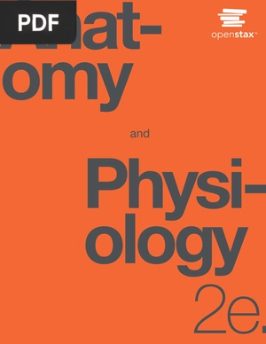 Anatomy and Physiology