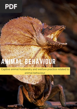 Animal Behaviour